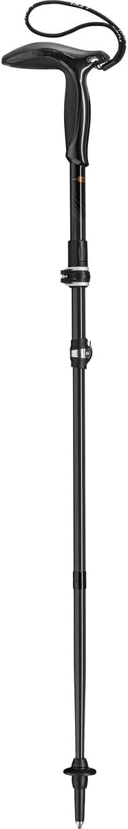 LEKI Legend Series Micro Stöcke